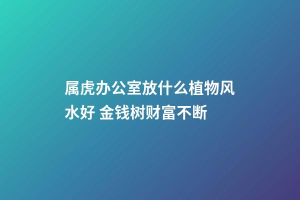 属虎办公室放什么植物风水好 金钱树财富不断